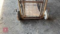 PIG/LAMB WEIGHER - 25