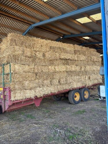 290 CONVENTIONAL BALES OF 2025 WHEAT STRAW - BIDS FOR THE GROUP