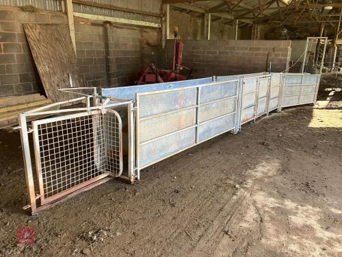 IAE 24' SHEEP RACE (28)