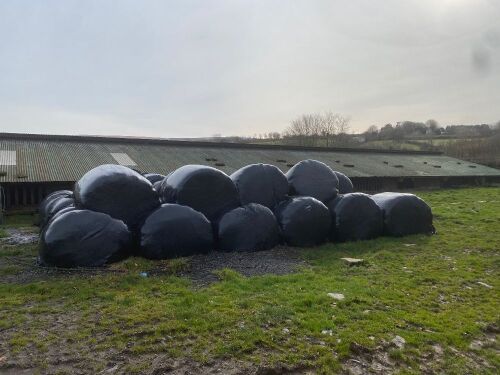 40 BALES OF WHOLE CROP - BIDS PER BALE