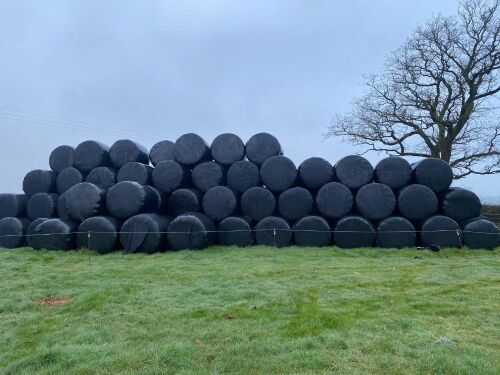 100 ROUND BALES OF 1ST CUT 2025 SILAGE - BIDS PER BALE