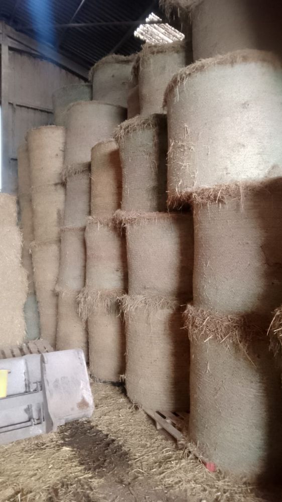 25 ROUND BALES OF 2025 MEADOW HAY - BIDS PER BALE