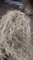 25 ROUND BALES OF 2025 MEADOW HAY - BIDS PER BALE - 3