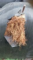 45 ROUND BALES OF 2024 SILAGE - BIDS PER BALE - 2