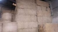 30 SQUARE BALES OF 2025 MEADOW HAY - BIDS PER BALE