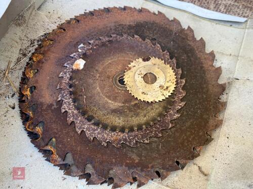 SELECTION OF CIRCULAR WOOD SAW BLADES