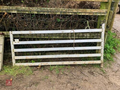 IFOR WILLIAMS DP120 SHEEP PARTITION GATE