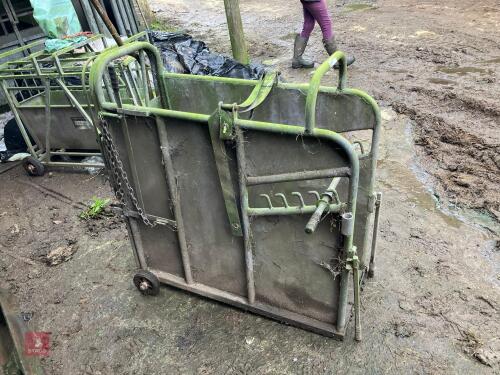 IAE CALF DEHORNING CRATE