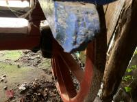 WOODEN PONY HAY CART - 39