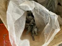 LARGE QUANTITY OF SCREWS - 8