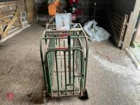 LAMB WEIGHING CRATE - 4