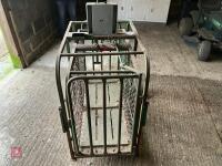 LAMB WEIGHING CRATE - 7