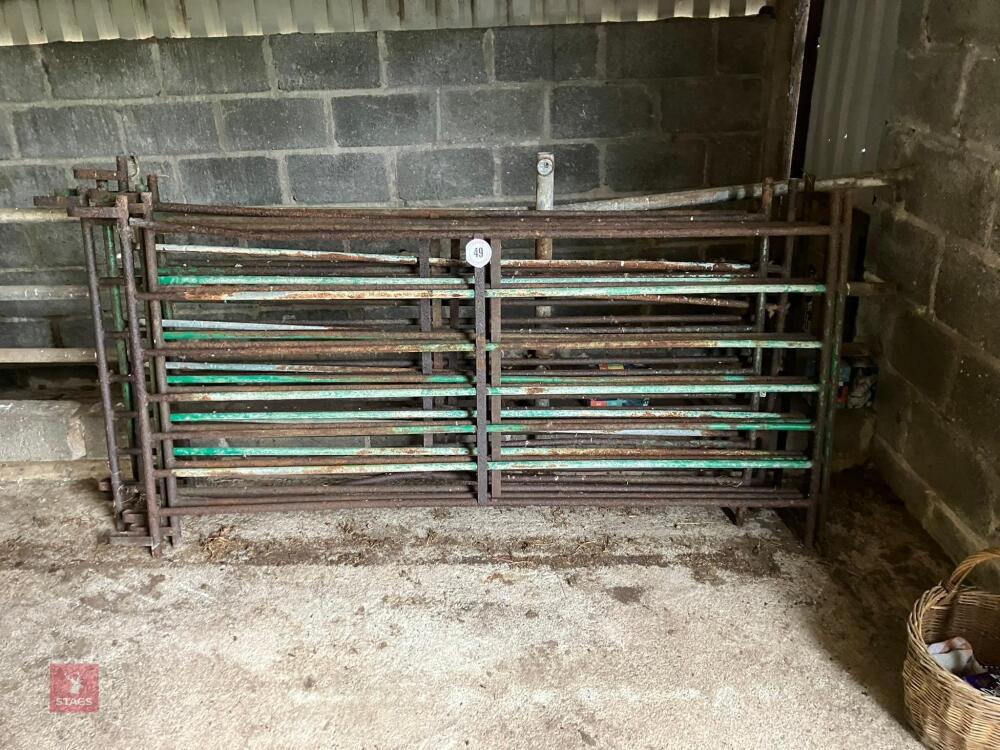 7 X 5' SHEEP HURDLES