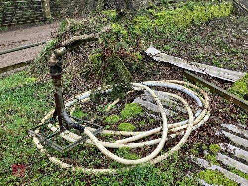 IRRIGATOR SPRINKLER WITH PIPE