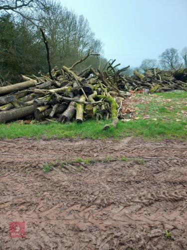 MIX OF OAK, ASH & BEECH NUT