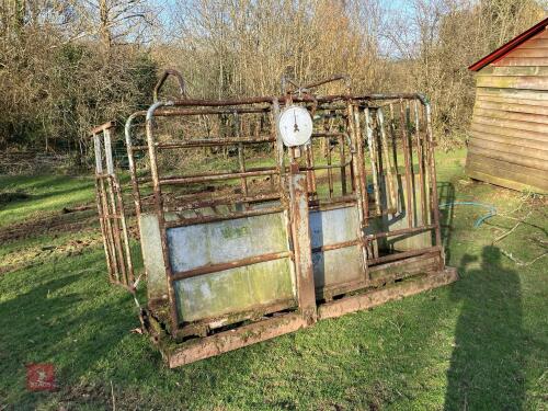 TUBAR CATTLE WEIGH CRUSH (S/R)