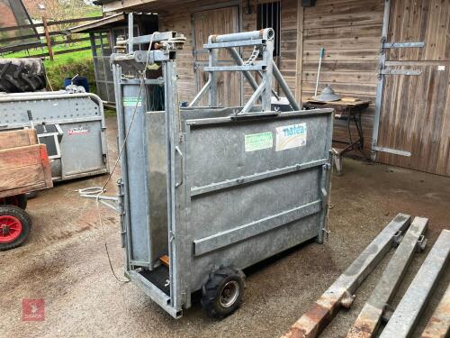 GALVANISED CALF DE-HORNING CRATE