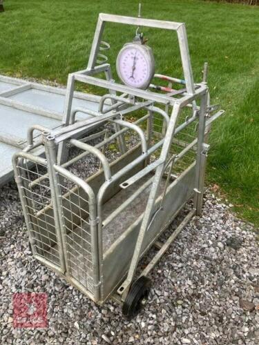 SHEEP/LAMB WEIGHING CRATE