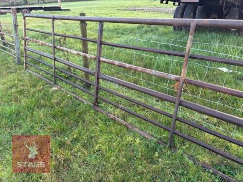 15' FIELD GATE