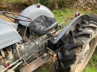 1956 FERGUSON TEF DIESEL 2WD TRACTOR - 9