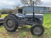 1956 FERGUSON TEF DIESEL 2WD TRACTOR - 18