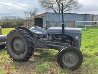 1956 FERGUSON TEF DIESEL 2WD TRACTOR - 19
