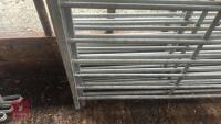 6 X 4' GALVANISED SHEEP HURDLES - 5