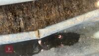 2 X 9' GALVANSIED FEED TROUGHS - 5