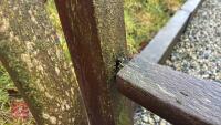 5' WOODEN GARDEN BENCH - 3