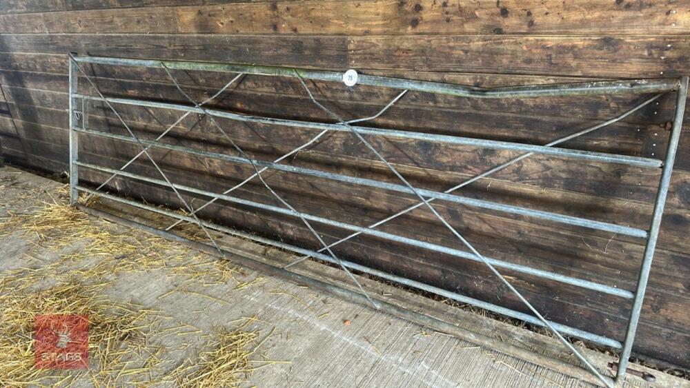12' GALVANISED FIELD GATE