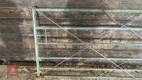 12' GALVANISED FIELD GATE - 8