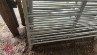 7 X 4' GALVANISED SHEEP HURDLES - 11