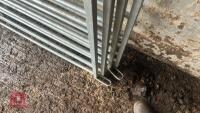 4 X 6' GALVANISED SHEEP HURDLES - 5