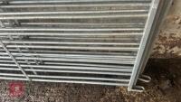 4 X 6' GALVANISED SHEEP HURDLES - 6