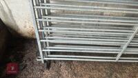 4 X 6' GALVANISED SHEEP HURDLES - 9