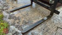 ALO ORIGINAL IMPLEMENTS PALLET FORKS - 10