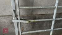 IAE 5' CATTLE HANDLING ACCESS GATE - 3