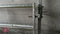 IAE 5' CATTLE HANDLING ACCESS GATE - 6