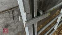IAE 5' CATTLE HANDLING ACCESS GATE - 11