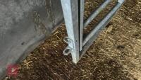 IAE 5' CATTLE HANDLING ACCESS GATE - 12