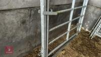 IAE 5' CATTLE HANDLING ACCESS GATE - 14