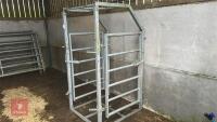 GALVANISED CATTLE RACE KIOSK - 2