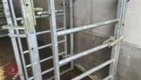 GALVANISED CATTLE RACE KIOSK - 4