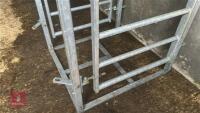 GALVANISED CATTLE RACE KIOSK - 5
