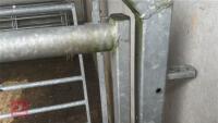 GALVANISED CATTLE RACE KIOSK - 7