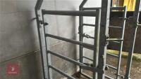 GALVANISED CATTLE RACE KIOSK - 13