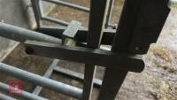 GALVANISED CATTLE RACE KIOSK - 15