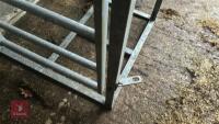 GALVANISED CATTLE RACE KIOSK - 17