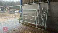IAE GALVANISED 10' CALVING HURDLE