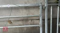 IAE GALVANISED 10' CALVING HURDLE - 8